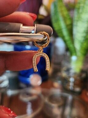 Treasure Jewels Gold Horseshoe Charm Pave CZ